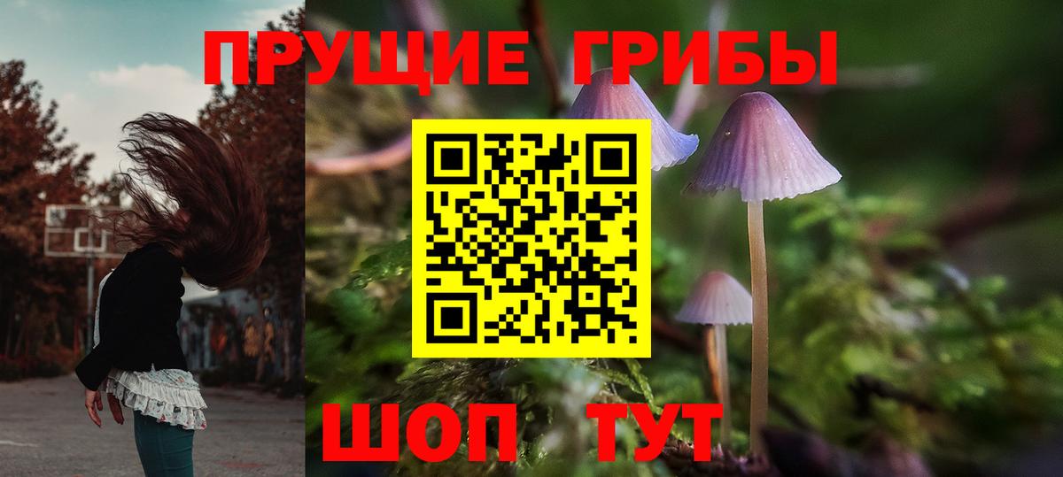 Псилоцибиновые грибы мухоморы  Галлюциногенные грибы Magic Shrooms  Лабинск  Вход с VPN 